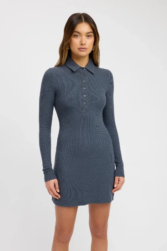 richie-long-sleeve-mini-dress-iron